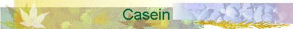 Casein