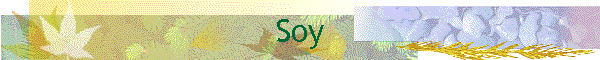 Soy